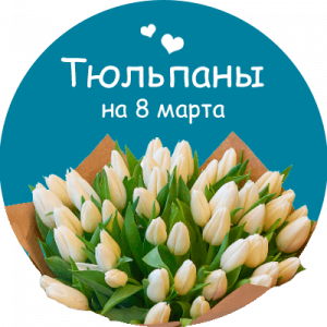 Купить тюльпаны в Петрозаводске
